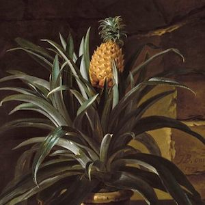 Ananamania: l’ananas dans les toiles peintes au 18e siècle – par Aziza Gril-Mariotte