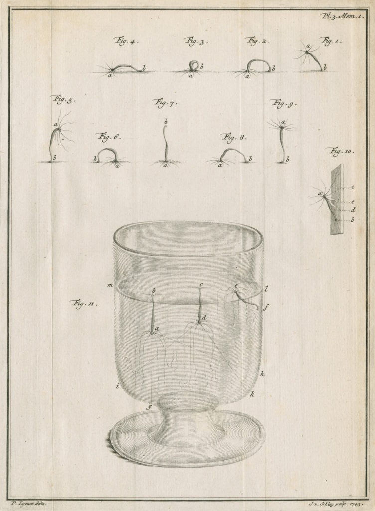 Fig. 3. Pierre Lyonet (designer) and Jacobus van der Schley (engraver), Plate 3 from Abraham Trembley, Mémoires pour servir à l’histoire d’un genre de polype d’eau douce (Leiden, 1743), etching and engraving. © Royal Society.