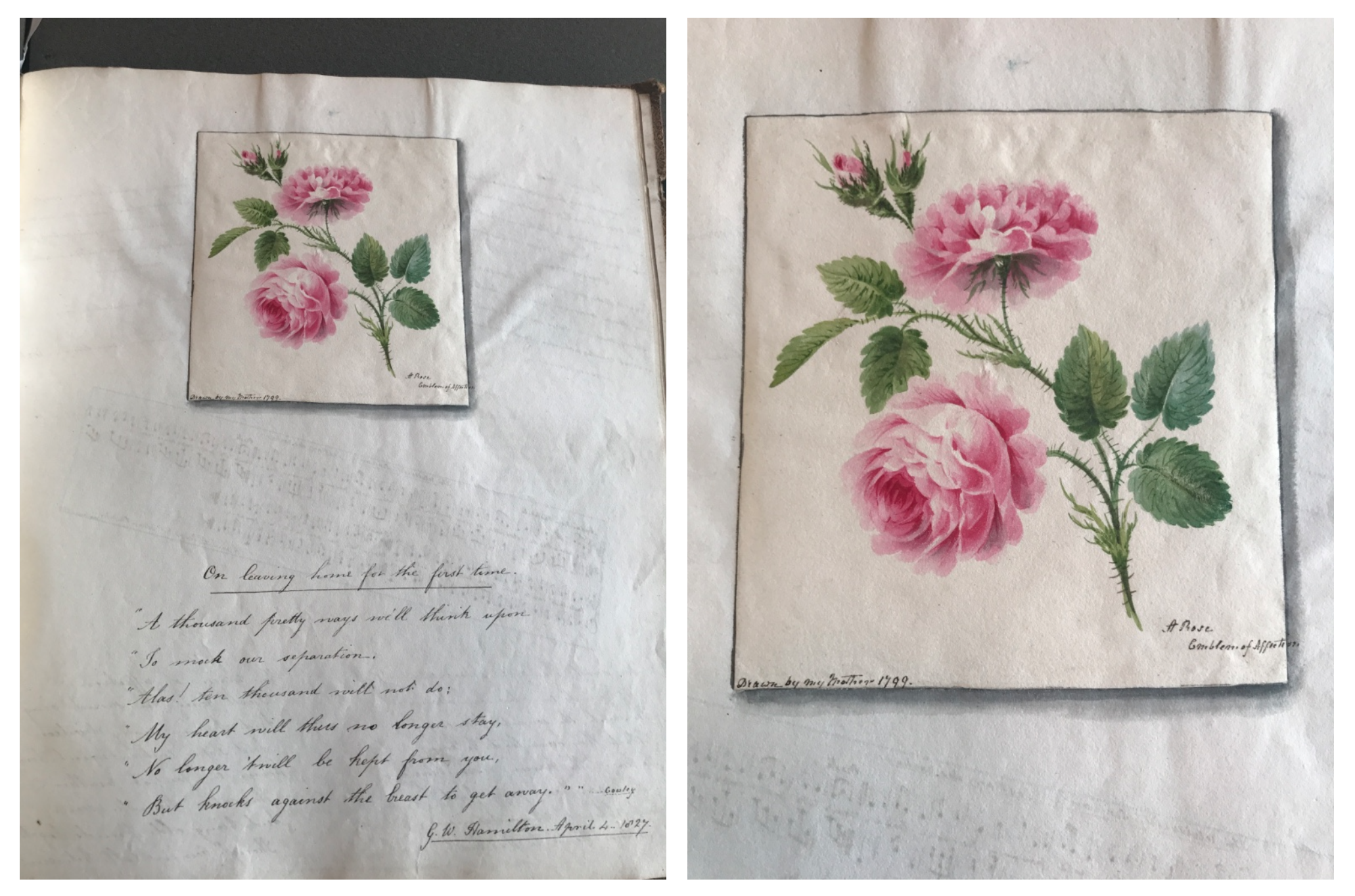 Reflective and Reflexive Forms Intimacy and Medium Specificity in