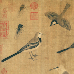 Taxonomy of Empire: The Compendium of Birds as an Epistemic and Ecological Representation of Qing China