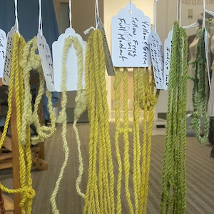 Curators’ Notes: Sad Purple and Mauve: A History of Dye-Making – by Clara Drummond and Sarah K. Rich