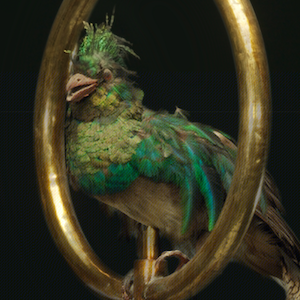 Color in Taxidermy at the Eighteenth-Century Qing Court